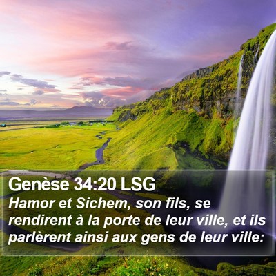 Genèse 34:20 LSG Bible Verse Image