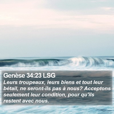 Genèse 34:23 LSG Bible Verse Image