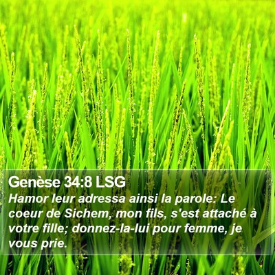 Genèse 34:8 LSG Bible Verse Image