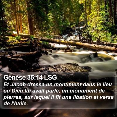 Genèse 35:14 LSG Bible Verse Image