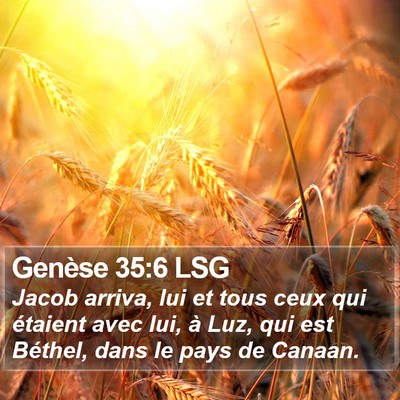 Genèse 35:6 LSG Bible Verse Image