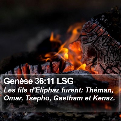 Genèse 36:11 LSG Bible Verse Image