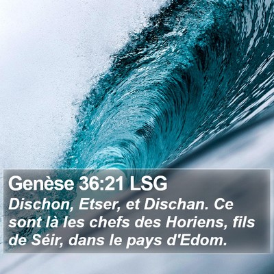 Genèse 36:21 LSG Bible Verse Image