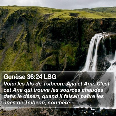 Genèse 36:24 LSG Bible Verse Image