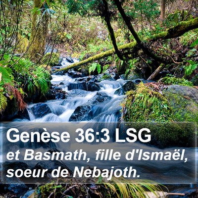Genèse 36:3 LSG Bible Verse Image