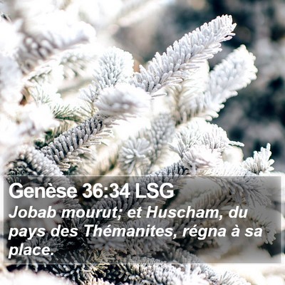 Genèse 36:34 LSG Bible Verse Image