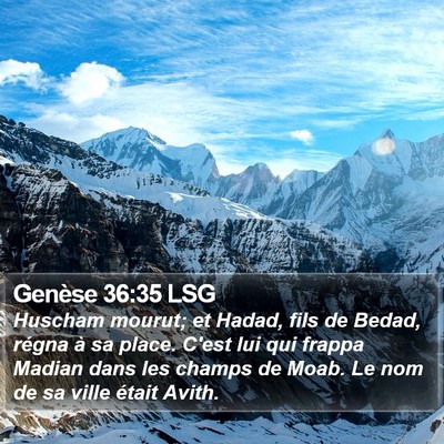 Genèse 36:35 LSG Bible Verse Image