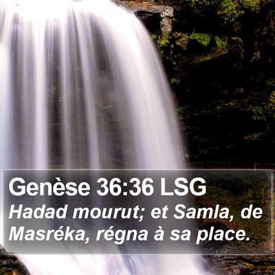 Genèse 36:36 LSG Bible Verse Image