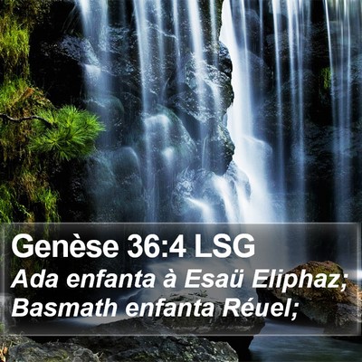 Genèse 36:4 LSG Bible Verse Image
