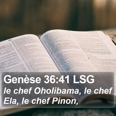 Genèse 36:41 LSG Bible Verse Image