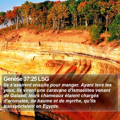 Genèse 37:25 LSG Bible Verse Image