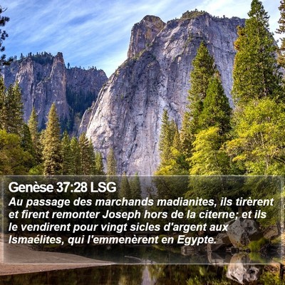 Genèse 37:28 LSG Bible Verse Image