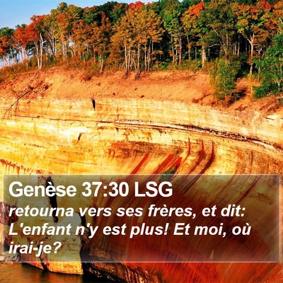 Genèse 37:30 LSG Bible Verse Image
