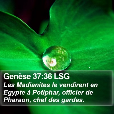 Genèse 37:36 LSG Bible Verse Image