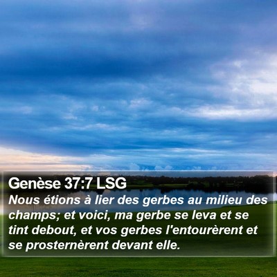 Genèse 37:7 LSG Bible Verse Image