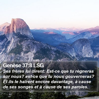 Genèse 37:8 LSG Bible Verse Image