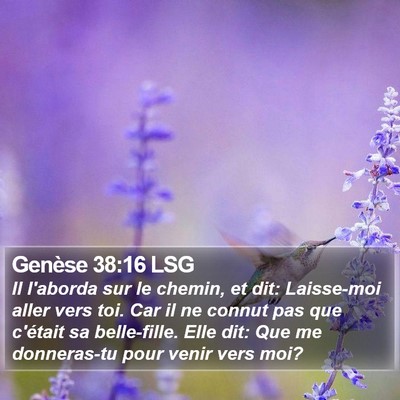 Genèse 38:16 LSG Bible Verse Image