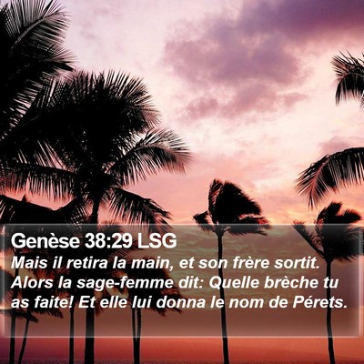 Genèse 38:29 LSG Bible Verse Image