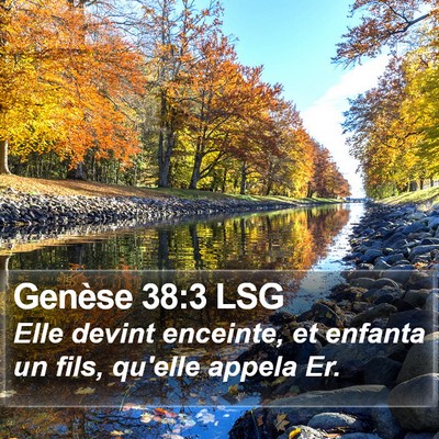 Genèse 38:3 LSG Bible Verse Image