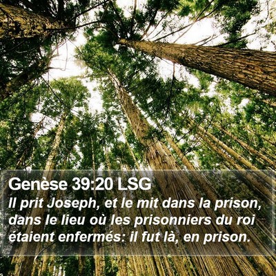 Genèse 39:20 LSG Bible Verse Image