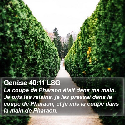 Genèse 40:11 LSG Bible Verse Image