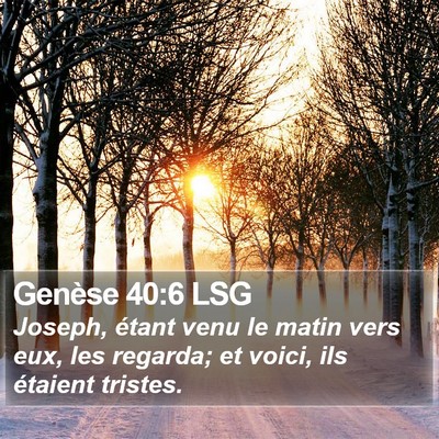 Genèse 40:6 LSG Bible Verse Image