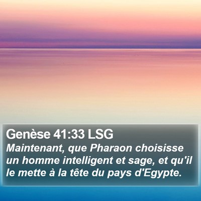 Genèse 41:33 LSG Bible Verse Image
