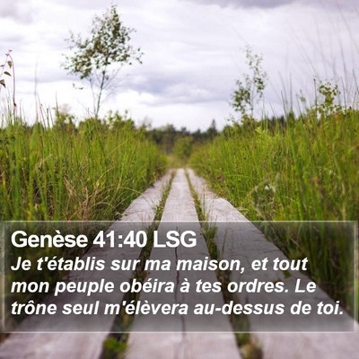 Genèse 41:40 LSG Bible Verse Image