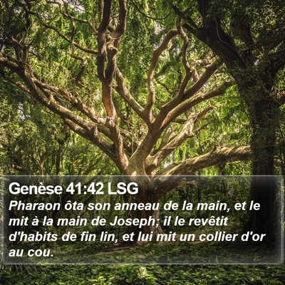 Genèse 41:42 LSG Bible Verse Image