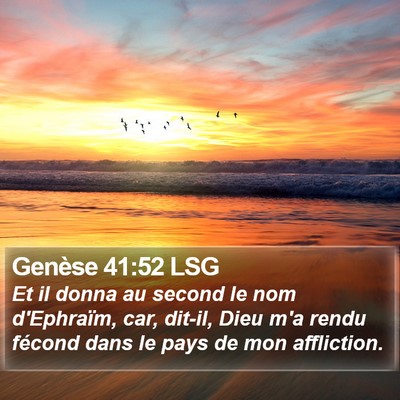 Genèse 41:52 LSG Bible Verse Image
