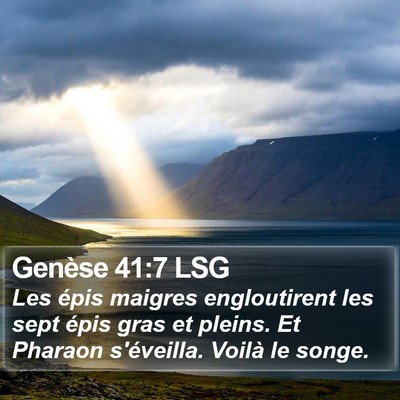 Genèse 41:7 LSG Bible Verse Image