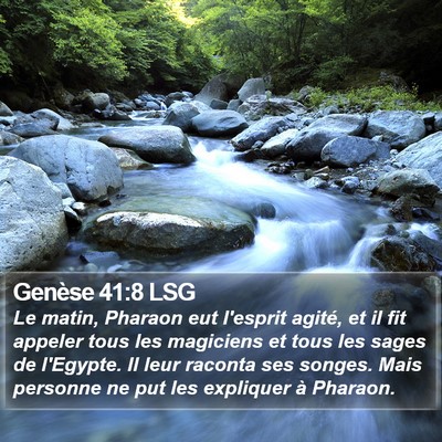 Genèse 41:8 LSG Bible Verse Image