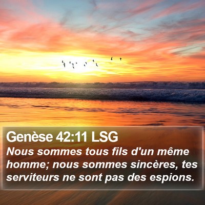 Genèse 42:11 LSG Bible Verse Image