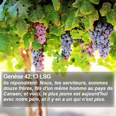 Genèse 42:13 LSG Bible Verse Image