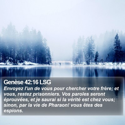 Genèse 42:16 LSG Bible Verse Image