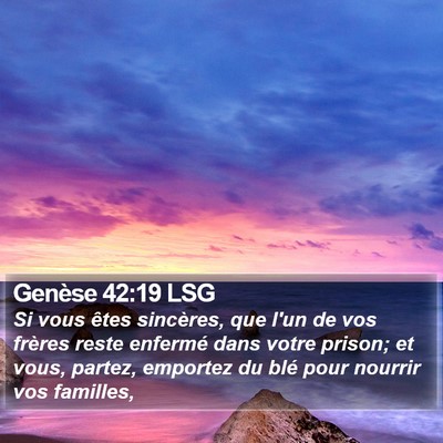 Genèse 42:19 LSG Bible Verse Image