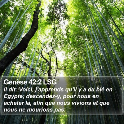 Genèse 42:2 LSG Bible Verse Image