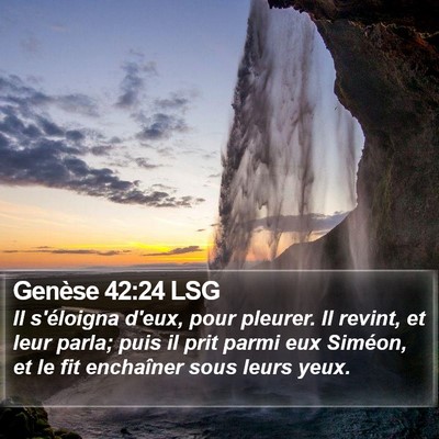 Genèse 42:24 LSG Bible Verse Image