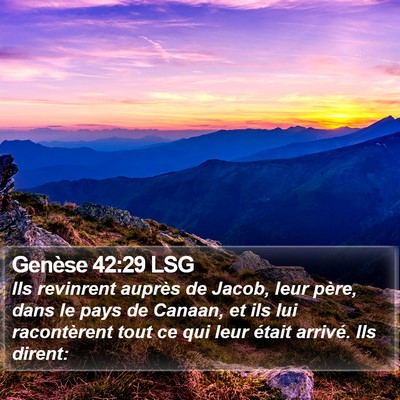 Genèse 42:29 LSG Bible Verse Image