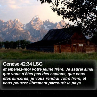 Genèse 42:34 LSG Bible Verse Image