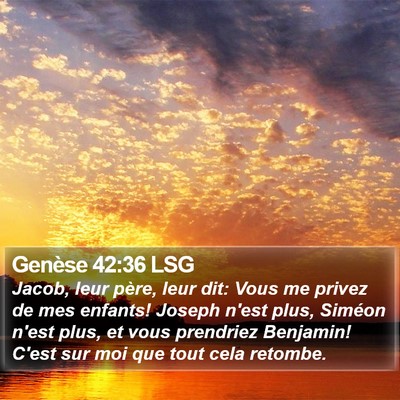 Genèse 42:36 LSG Bible Verse Image