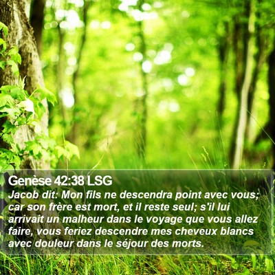 Genèse 42:38 LSG Bible Verse Image