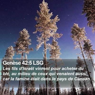 Genèse 42:5 LSG Bible Verse Image