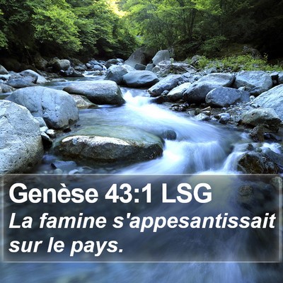 Genèse 43:1 LSG Bible Verse Image
