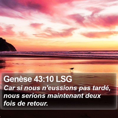 Genèse 43:10 LSG Bible Verse Image