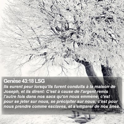 Genèse 43:18 LSG Bible Verse Image