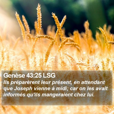 Genèse 43:25 LSG Bible Verse Image