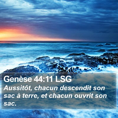 Genèse 44:11 LSG Bible Verse Image