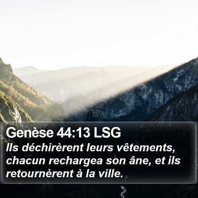 Genèse 44:13 LSG Bible Verse Image