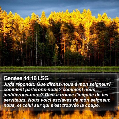 Genèse 44:16 LSG Bible Verse Image